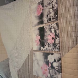 3pc Pink & Black Wall Decor